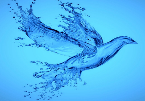 Dịch vụ và kỹ thuật xây lắp ngành nước